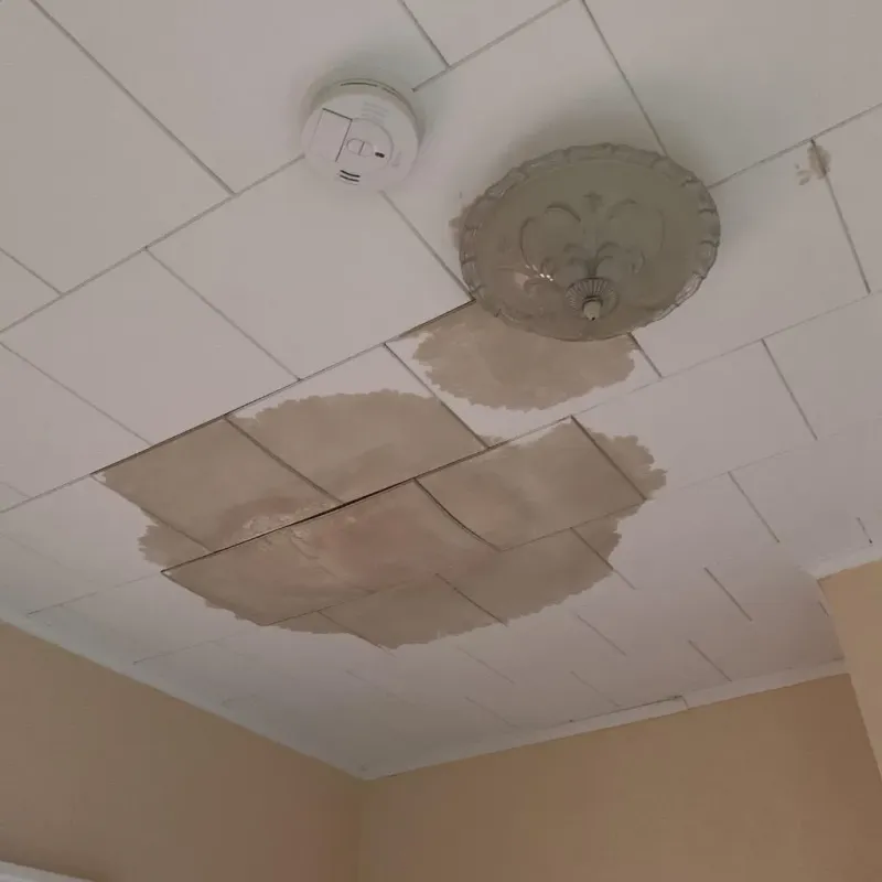 Ceiling Water Damage Repair in Lake Panorama, IA