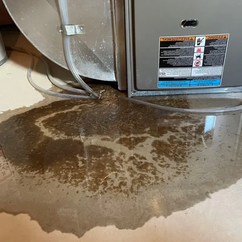 Pipe Burst and Leak Restoration in Lake Panorama, IA