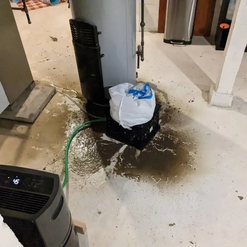 Sewage Backup Cleanup Service in Lake Panorama, IA